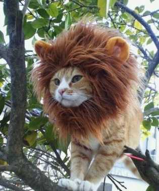 cimroefqap's profile picture. Интересуюсь всем...... Пишите не стесняйтесь!!!=))