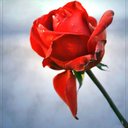 sarah stracener - @sarah3178 - Twitter