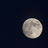 asma9979's profile image