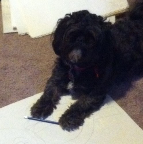 dogfeat's profile picture. 