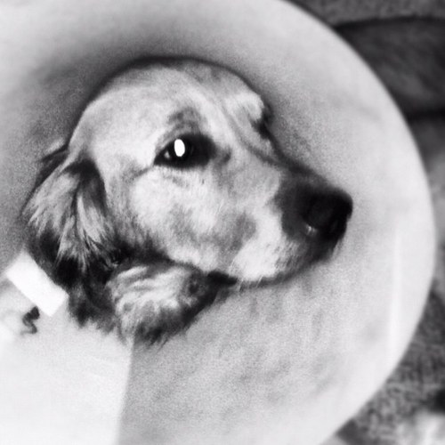 justinbessler's profile picture. Husband, father, Seminary student, writer, designer. I've got lots of ideas, and I care to share.