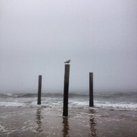 Robert Nethery (@studionerasa) 's Twitter Profile