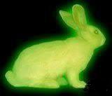 green_fluo_rabbitさんのプロフィール画像