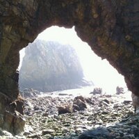 Dave Mitchell (@4davemitchell) 's Twitter Profile
