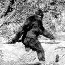 Mark Laske - @marklaske - Twitter