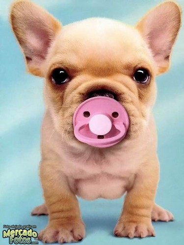 rociogleca's profile picture. 