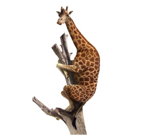 RiskVolution's profile picture. A book on evolutionary innovation strategies. By Victor Chapela and Santiago Moral.