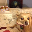 Kira McCoy - @kira_mccoy - Twitter