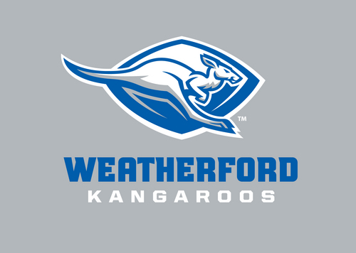 WHSLadyRooVball's profile picture. The Weatherford Lady Roos are a 6A volleyball team from Weatherford, TX.