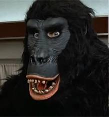 GrainsGorilla Profile Picture