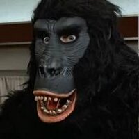 Grains Gorilla (@grainsgorilla) 's Twitter Profile Photo Grains Gorilla (@grainsgorilla) 's Twitter Profile Photo