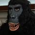 Grains Gorilla (@grainsgorilla) Twitter profile photo Grains Gorilla (@grainsgorilla) Twitter profile photo