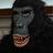 Grains Gorilla