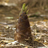 takenok_bot's profile image