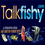 A social network for freshwater aquarium hobbyists! Lots of high-quality images of tropical fish with care info!