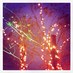 Alice (@whotheflipis_) Twitter profile photo Alice (@whotheflipis_) Twitter profile photo