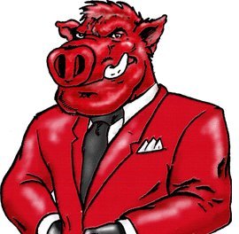 We are the largest Arkansas Razorback Merchandise distributor in Arkansas! Come see us in Little Rock, NLR, Hot Springs, and Fayetteville!