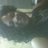 kishaonly1's profile image