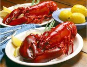 Lobster is a high-protein, low-fat seafood with many omega-3 fatty acids.