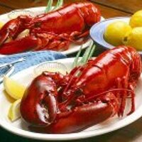 Lobsters Seafood (@lobstersseafood) 's Twitter Profile