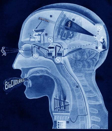 Developer, designer, musician, artist, dreamer. Co-founder and Ideologist of many things