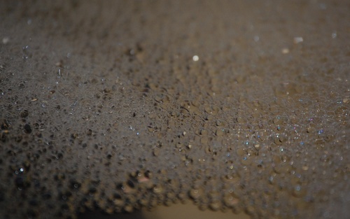 CameraTips's profile picture. 