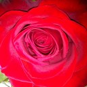 Emily Driggers - @emgrja132 - Twitter