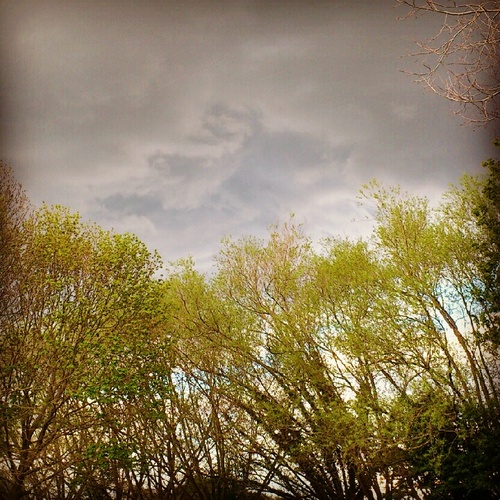 longtreeroad's profile picture. Why can i never get to sleep? Heard sailing by every night for as long as i can remember!