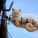 mixail-1960or@qip.ru (@1960or) Twitter