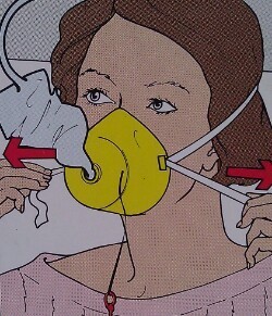 EllieGagner's profile picture. 