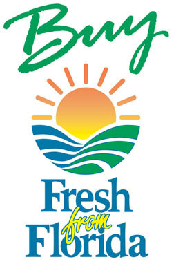 Updates on the freshest produce coming at of Florida.
Including crop updates and where you can find it!