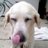hassi19880728th's profile image