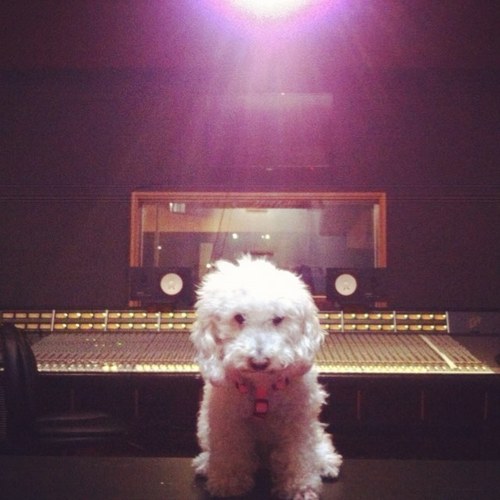 admlat's profile picture. Mixer of tv and film