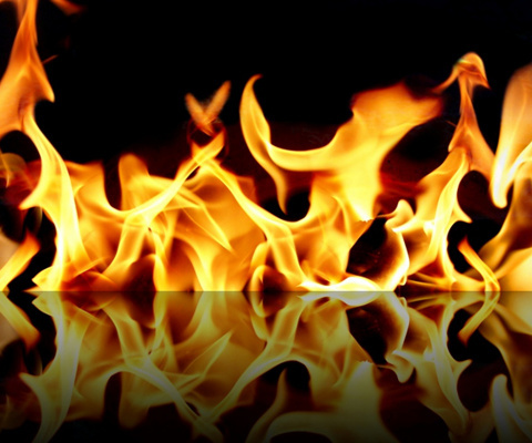 kennethhamacher's profile picture. Funny.Strange.Stupid.Stuff