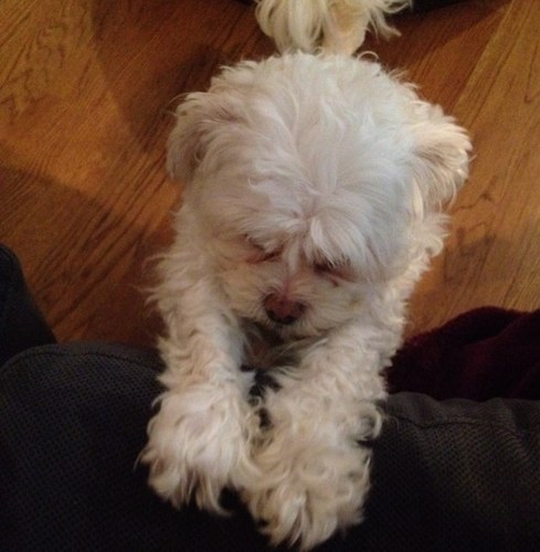 cjg4real's profile picture. With Christ - All is well with my Soul !