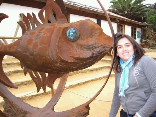 rojas_parada's profile picture. 