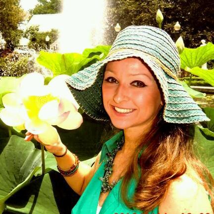 nicstarog's profile picture. 