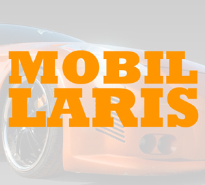 Mobillaris Profile Picture