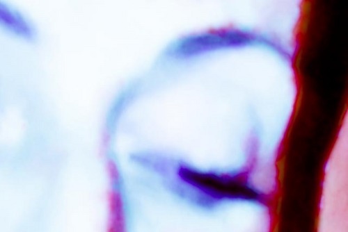 BaffledChaOs's profile picture. Like just about anything…Dislike nastiness, ignorance, abuse of power, & general rudeness.