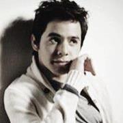 David Archuleta FanScene is maintained by the folks of David's 1st Official Fan Site. We've been supporting David Archuleta's music & charity causes since 2004.