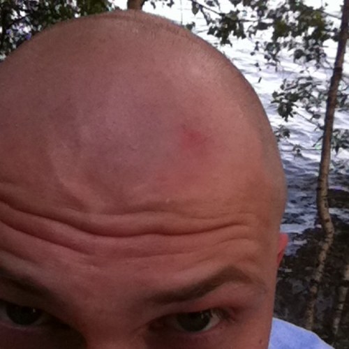 Nechvid's profile picture. 