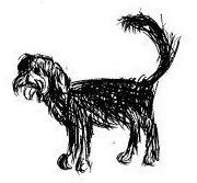 Aleph558's profile picture. Un don nadie no muy diferente a ti.