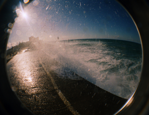 DJRoub's profile picture. 🇫🇷🇺🇸