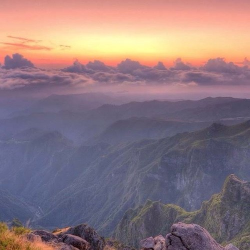 3908711's profile picture. イケメン