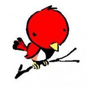 MiraBrabec's profile picture. 