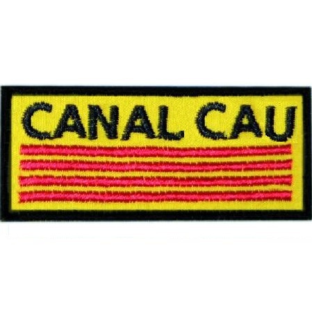 Canal #cau és la primera sala de xat per a escoltes i guies de parla catalana, ja fa 12 anys que existeix i escoltes d'arreu s'hi han conectat alguna vegada.