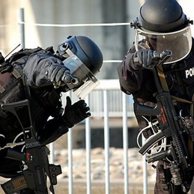 SAT 特殊急襲部隊 SAT 特殊急襲部隊 メディコムトイ リアルアクションヒーローズ