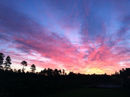 kadatthebeach's profile picture. 