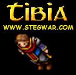 Somos um dos melhores servidores do game Tibia do mundo!