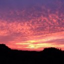 Sandra Capuano - @scapuano42 - Twitter